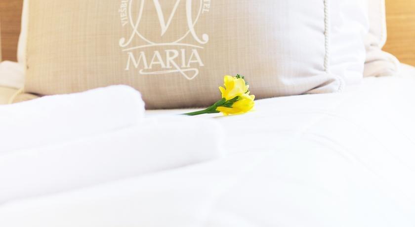 Domus Maria Hotell VNO Eksteriør bilde